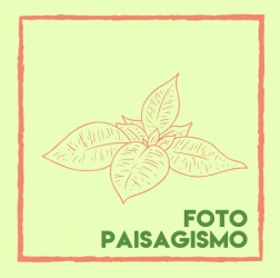 Foto Paisagismo